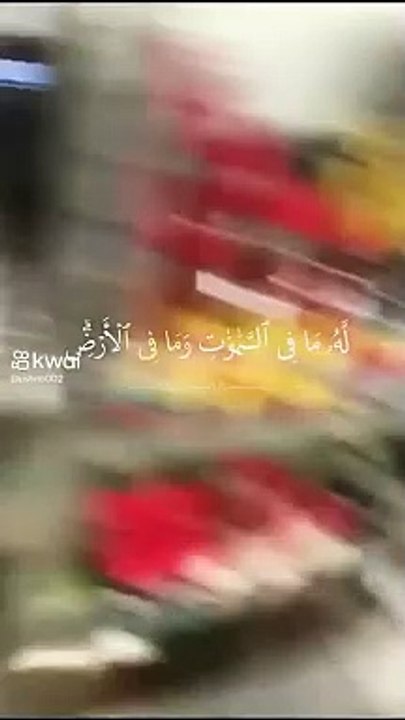 5231925494836574319_play.mp4_logo_EG