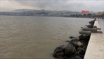 İzmir Körfezi çamur rengine büründü