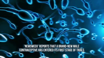 New Hormone-Free Male Contraceptive Enters First Human Trial