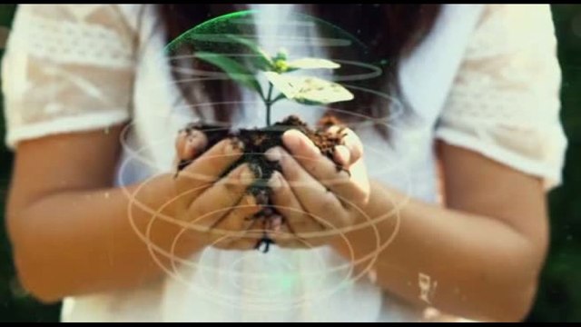 Transizione energetica e fragilità: un'occasione per agire