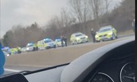 Video shows large police presence on Edinburgh City Bypass on December 20
