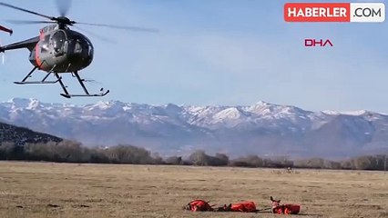 ABD'de 1200 Geyiğe GPS Tasma Takıldı