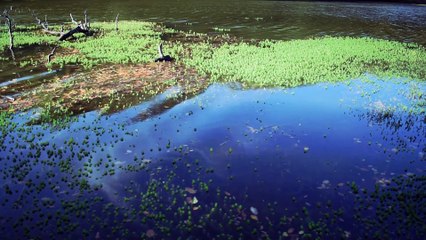 Под лаской плюшевого пледа - ПО-ТУРЕЦКИ / Pelüş örtünün altındayken - Cover Maria Ünal