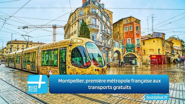 Montpellier, première métropole française aux transports gratuits