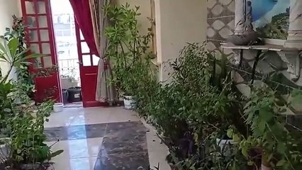 فيديو سطح خالى الاستاذ ماهر الزينى 2