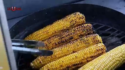 Bir Ütopya Adası; Galata Belgeselinin Galası Yapıldı