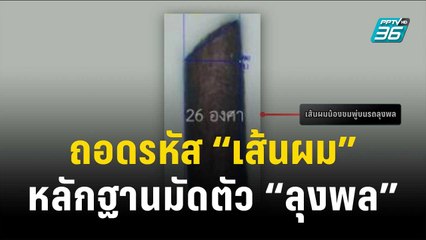 ถอดรหัส “เส้นผม” หลักฐานมัดตัว “ลุงพล” | เข้มข่าวค่ำ | 21 ธ.ค. 66