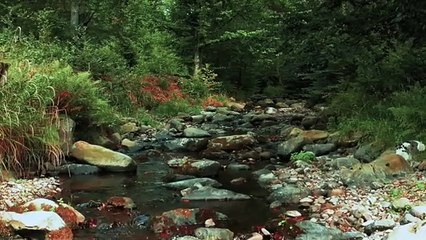 Musique de méditation libre de droit, relaxation avec flute et tongue drum.