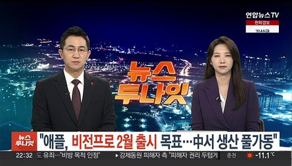 "애플, 비전프로 2월 출시 목표…중국서 생산 풀가동"