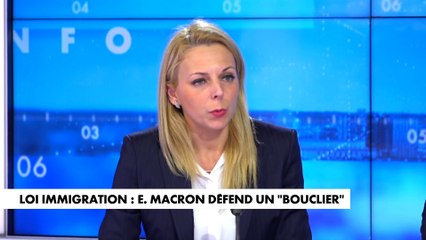 Edwige Diaz : «Cette loi acte, selon nous, qu'il y a trop d'immigration en France»