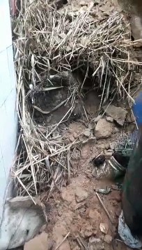 Casa sofre deslizamento de terra devido às fortes chuvas em Salvador