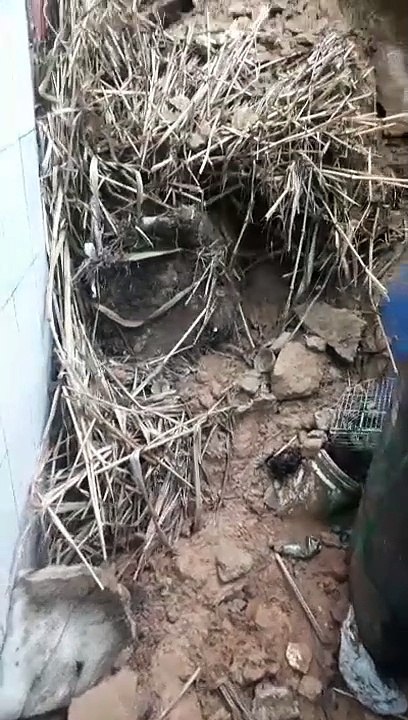 Casa sofre deslizamento de terra devido às fort...