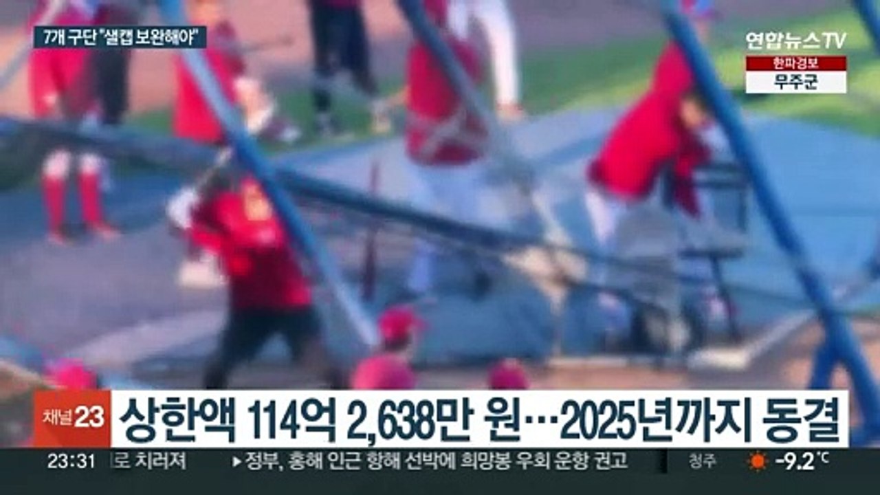 프로야구 7개 구단 "샐러리캡 제도 보완 필요"