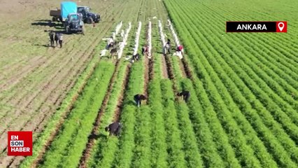 Mehmet Özhaseki: 1,3 milyar hazine arazisi çiftçilere kiralandı