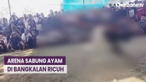 Arena Sabung Ayam di Bangkalan Ricuh Diduga Persoalan Taruhan Antar Penonton