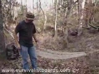 Hammock Camping