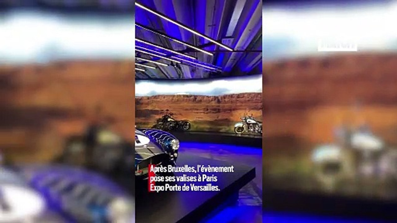 Visite guidée de l'exposition Johnny Hallyday à Paris