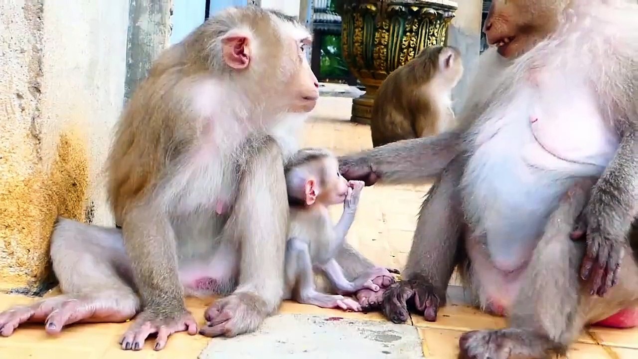 Moly Young Mom Fells Extremely Scared, When Old Mama Julia Catch Her Baby Money (720p_25fps_H264-192kbit_AAC)