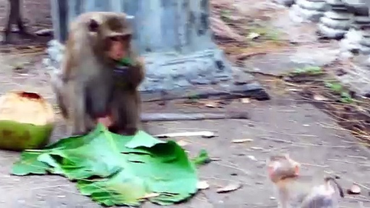 Monaco baby gets by rain, mother Molia mistreat and walk quickly away (720p_25fps_H264-192kbit_AAC)