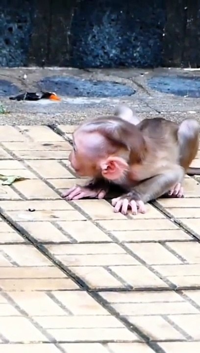 Monaco baby gets scared #shorts (1280p_25fps_H264-192kbit_AAC)