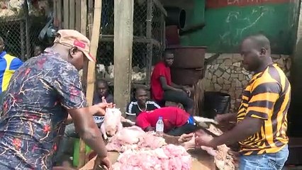 Le plumage des poulets est un bussiness pour les jeunes d'Adjamé