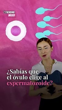 Nosotras siempre somos las que tomamos las decisiones importantes