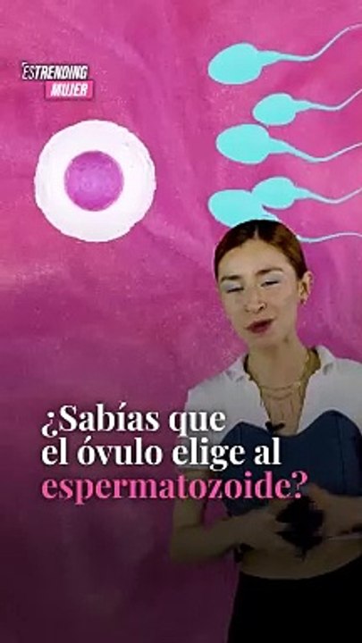 Nosotras siempre somos las que tomamos las decisiones importantes