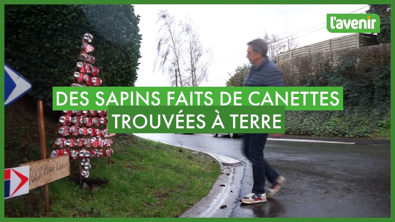 Des sapins fabriqués avec des canettes trouvées à terre