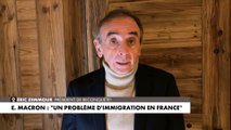 Éric Zemmour : «Le grand résultat de cette loi ce sera toujours plus d'immigration»