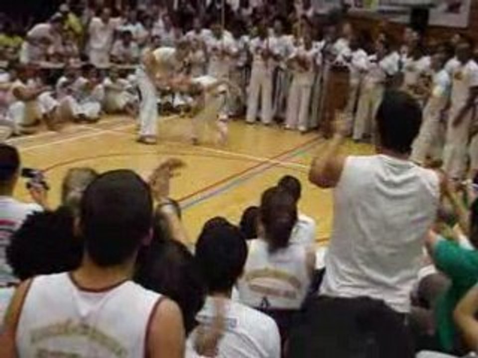 Gata 2008