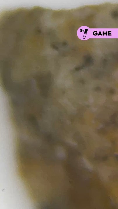 Devine ce qu’on te montre au microscope Indice : c’est très lointain  Donne nous ta réponse dans les commentaires !