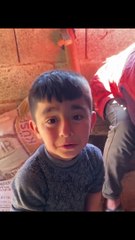 Doğum felci geçiren ineğin başında merhamet gözyaşları döken vicdanlı çocuk 