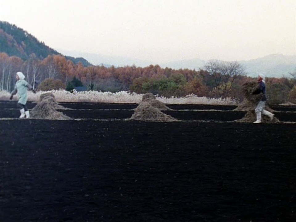 NO,  Sharon Lockhart 2003