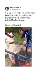 Kötü olmak için ekstra mesai harcanıyor…