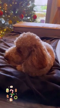 Γιούλικα Σκαφιδά: Τα φετινά Χριστούγεννα θα είναι τα πιο μαγικά γιατί είναι τα πρώτα με τον γιο της