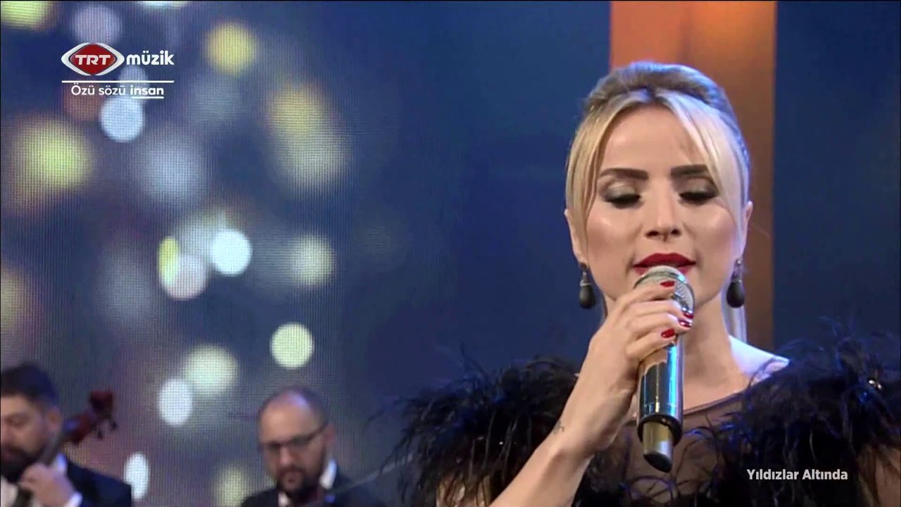 Ayşen Birgör / Ne sen beni gördün ne de ben seni