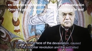 Arzobispo Carlo Maria Viganò Nos profetiza ilusiones, A la Conferencia online “¿El Papa es católico”