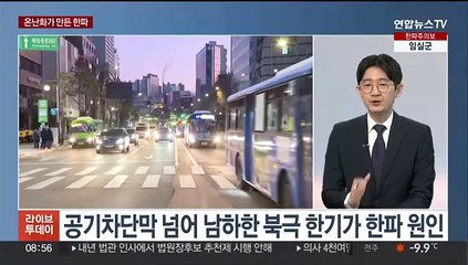 [뉴스초점] 온난화 탓 '북극 한파' 기승…제주는 80㎝ 폭설