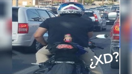 LAUGHTER VIDEOS - XD MOMENTS - IF YOU LAUGH YOU LOSE