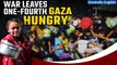 Israel-Gaza War: UN Sounds Alarm as 1 in 4 Starving Amid War-Torn Conditions | Oneindia News