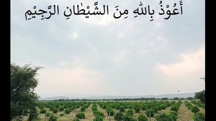 Surah Baqarah; Ruku 35