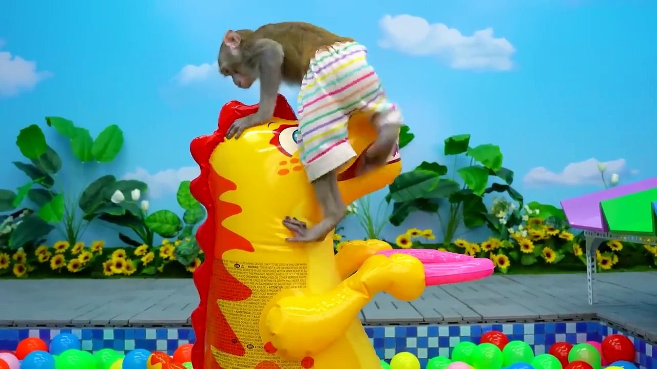 KiKi Monkey swimming in a Magic Four Colors Pool full of Ball Pit Bal_y_null