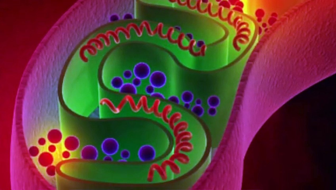 DO THIS TO STOP BEING SLEEPY AFTER LUNCH