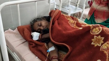 हीराता के बंदेड़ा गांव में पैंथर के हमले से महिला घायल