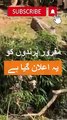 Urdu poetry Sad |مفرور پرندوں کو یہ اعلان گیا ہے | Sad Status | Sad poetry in Urdu / Hindi | Weird Stories#weirdstories #viral 3trending
