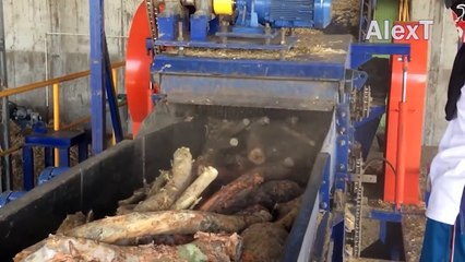 Amazing Big Whole Tree Chipping Crusher Machines Working, Fastest Wood Destroyer Shredding Equip
