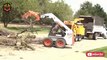 Amazing Dangerous Cutting Huge Tree Skills With Chainsaw, Incredible Woodworking & Wood Chipper