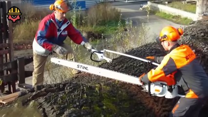 Amazing Fastest Biggest Tree Cutting, Giant Lumber Processing, Skillful Chainsaw Man