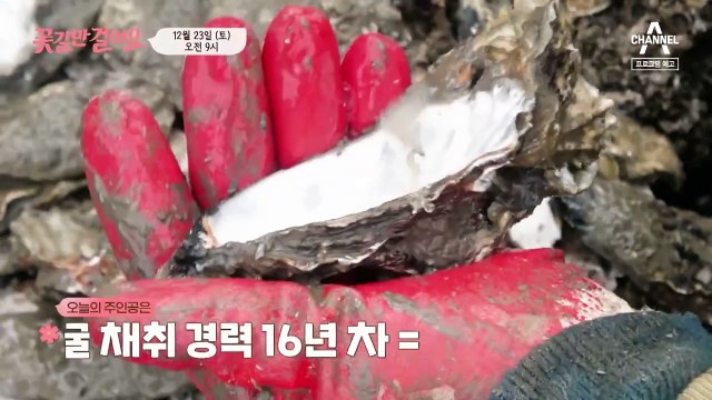 [예고] 굴 까기의 달인! 그녀는 무릎 건강을 회복하고 꽃길만 걸을 수 있을까?