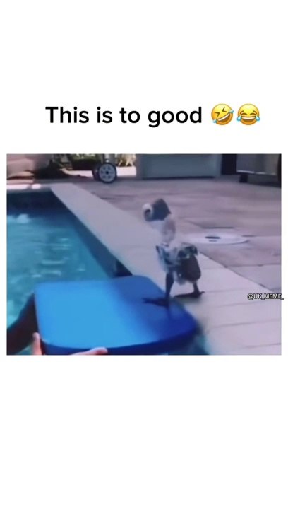 Try not to laugh - Mode: Extreme #meme #funny #humor #videos #funnyvideos #jokes #memes #dailyfunnyvideos #funnymemes #funnyvideo #viral #theboys #foryou